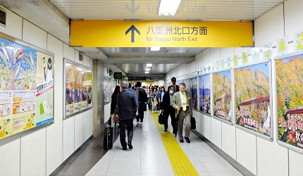 東京車站轉乘新幹線巴士NEX京葉線交通不迷路攻略八重洲丸之內