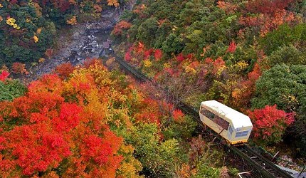 四國自由行搭乘觀光巴士「KOTOBUS IYA VALLEY」前往德島祖谷搭乘纜車，享受夢幻秋天紅葉絕景