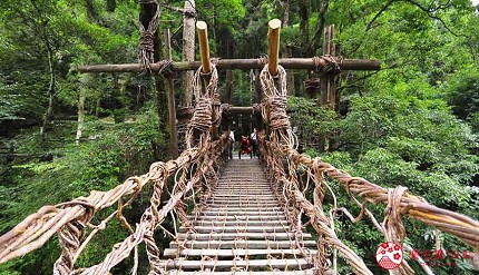 日本四國德島祖谷的藤蔓橋絕景