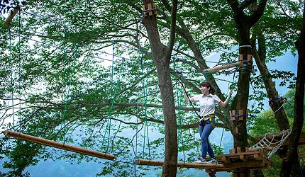 日本四國德島祖谷的樹間行走體驗