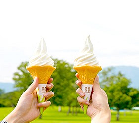 日本東北六縣岩手縣小岩井農場牛奶優格冰淇淋