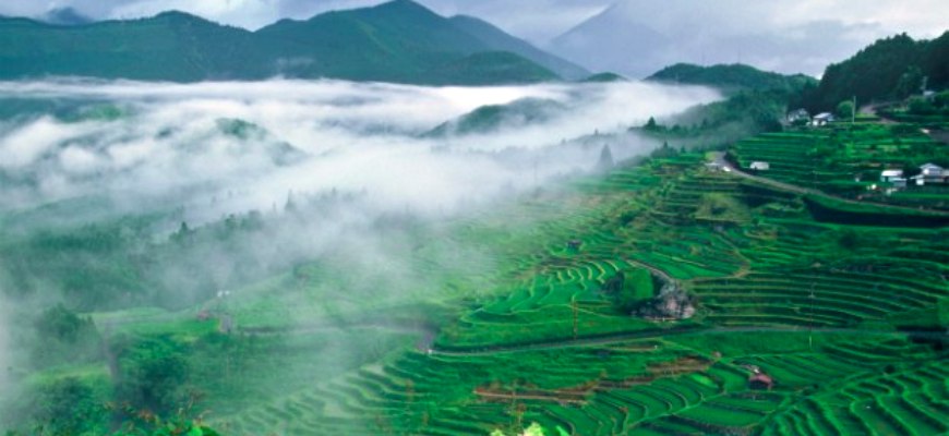 熊野市丸山千枚田