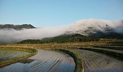 風傳嶺朝霧風伝おろし