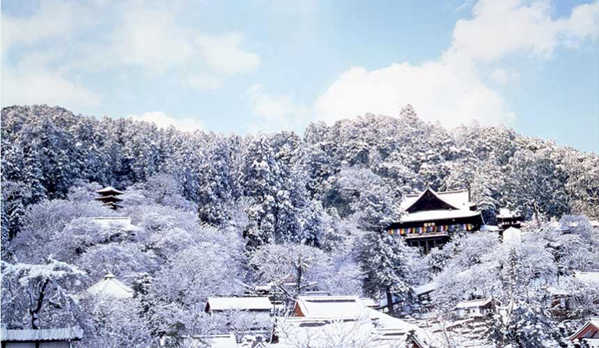 奈良櫻井市的大和國長谷寺冬天雪景