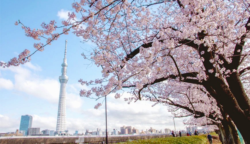 【日本旅遊穿衣指南】春天3月、4月、5月東京天氣與穿搭示範
