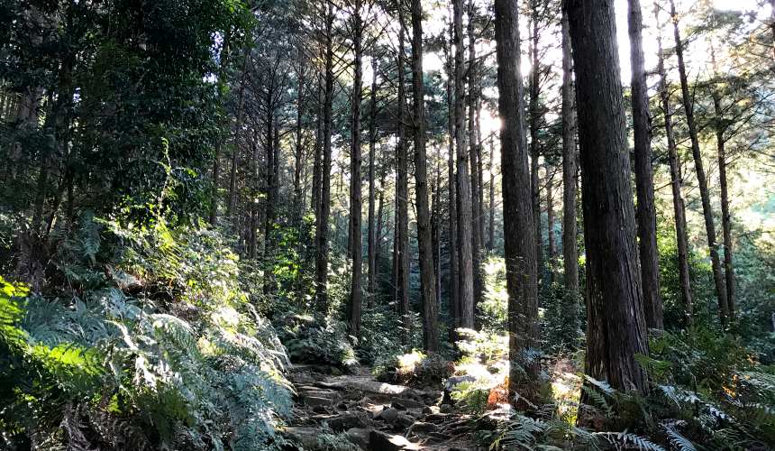 三重東紀州熊野古道