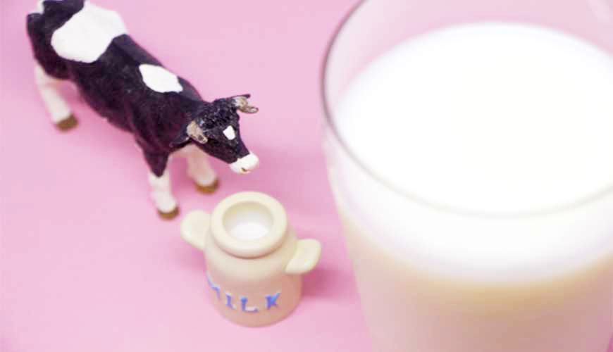 揭密日本牛奶鮮奶濃醇香的關鍵，牛奶盒包裝日語全解析