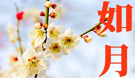 日本節氣12月份別稱由來日語如月