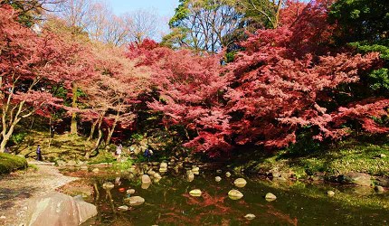 東京小石川後樂園的紅葉