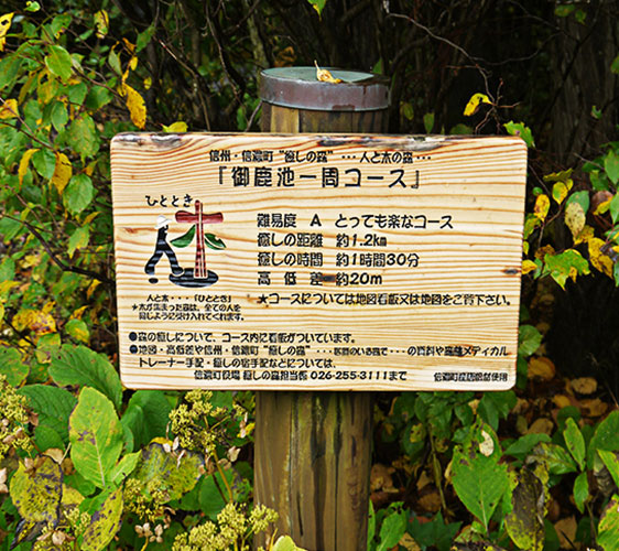 長野信濃町森林療癒法行程