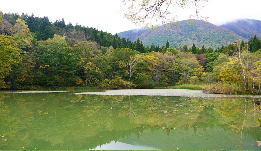 長野信濃町御鹿池很幽靜