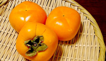 日本美食水果柿子秋柿示意圖