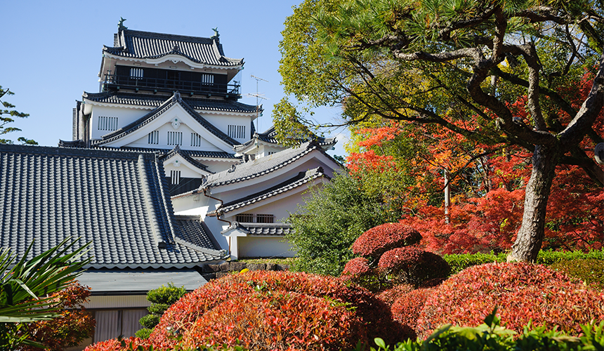 岡崎公園內的岡崎城