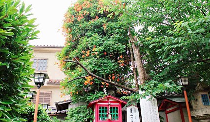 愛染堂勝鬘院