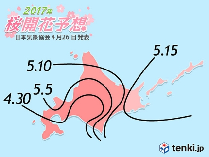 日本櫻花最前線最新開花預測查詢東京大阪京都奈良東北北海道札幌Tenki.jp