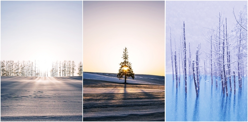 日本北海道自由行富良野美瑛的冬季景致組圖