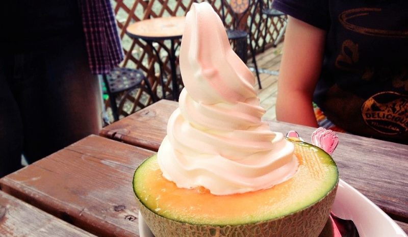日本北海道自由行富良野美瑛的富田農場附近可以吃到的蜜瓜新地冰淇淋